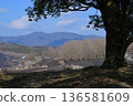 Akiyoshidai Light and Shadow 136581609