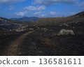 Akiyoshidai: The Road to Karst 136581611