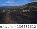 Akiyoshidai Road after mountain burning 136581612