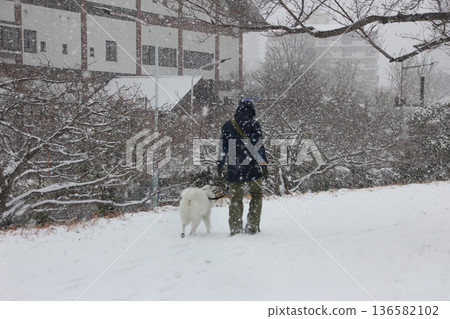 A walk in the park in the snow is a different kind of excitement and thrill. A walk in the park in the snow is a different kind of excitement and thrill. 136582102