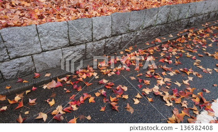 落葉散落在石階和瀝青路面上。 落葉散落在石階和瀝青路面上。 136582408