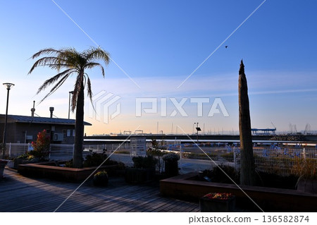 Coastline dyed in the morning sun 136582874