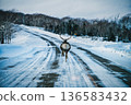 在雪路上偶遇一隻北海道鹿，鹿逃跑了 136583432