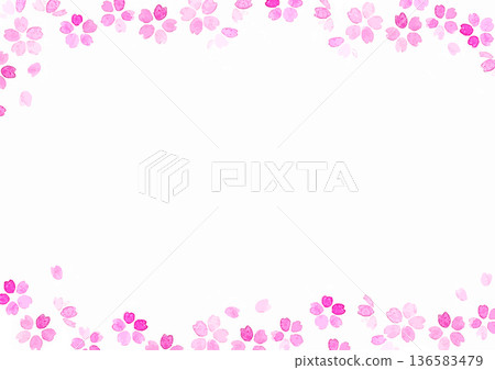 春日白色背景插圖，櫻花花瓣飄落。 136583479