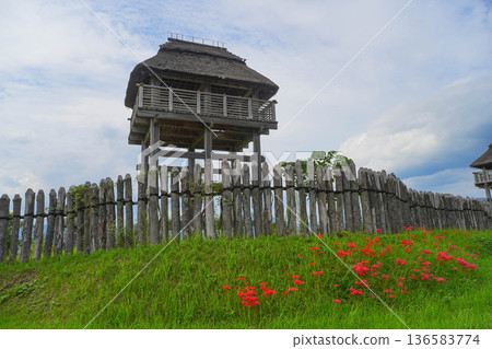 吉野里河 136583774