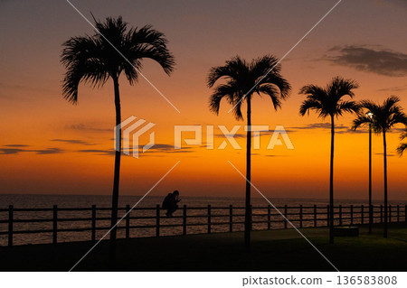 Beautiful palm trees and sunset Beautiful palm trees and sunset 136583808