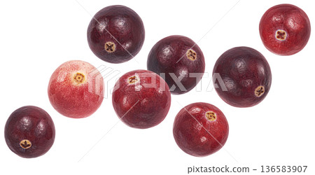 Falling lingonberries isolated on white background with clipping path, full depth of field 136583907