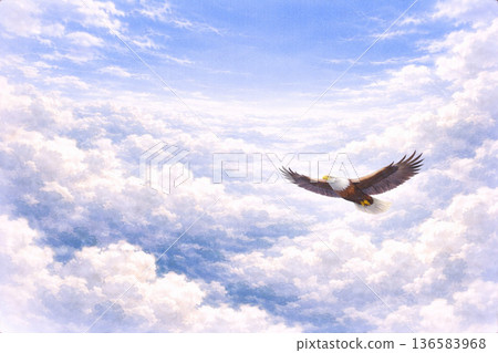 鳥類系列：猛禽悠閒地飛越雲海 136583968