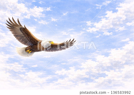 鳥類系列：猛禽從左至右飛翔的全景背景 136583992