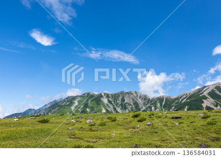 眺望立山山脈 136584031