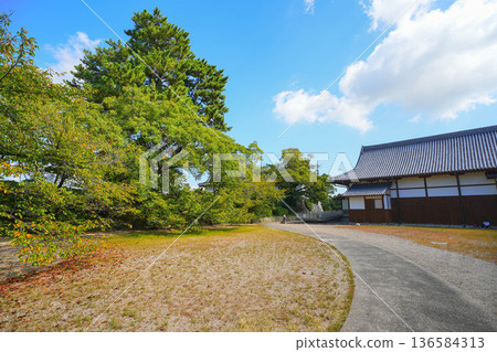 The ruins of Saga Castle 136584313