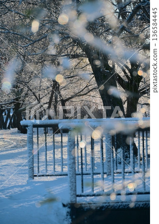 Light and snow, snowy scenery in the park early in the morning in winter Light and snow, snowy scenery in the park early in the morning in winter 136584445