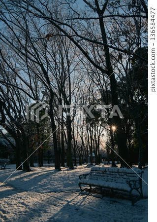 冬日清晨,公園裡陽光明媚,白雪皚皚,景色宜人。 冬日清晨,公園裡陽光明媚,白雪皚皚,景色宜人。 136584477