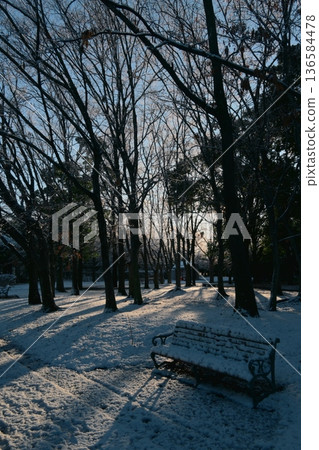 冬日清晨,公園裡陽光明媚,白雪皚皚,景色宜人。 冬日清晨,公園裡陽光明媚,白雪皚皚,景色宜人。 136584478
