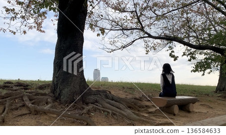 sit on a bench under a big tree 136584633