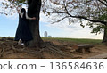 A woman standing under a tree 136584636