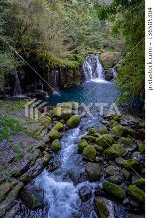 Scenery of Tengu Falls and Ryugabuchi in Kikuchi Valley Scenery of Tengu Falls and Ryugabuchi in Kikuchi Valley 136585804