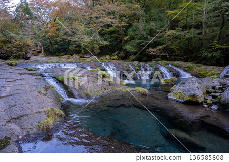 Scenery of the 430,000 waterfalls in Kikuchi Valley Scenery of the 430,000 waterfalls in Kikuchi Valley 136585808