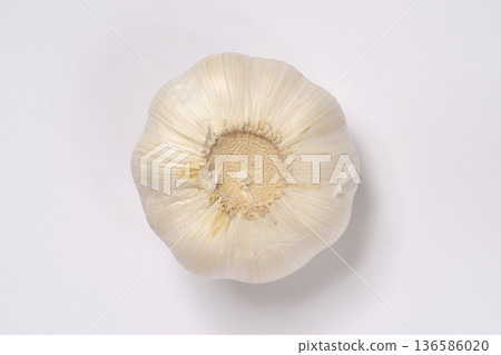 Single Garlic Bulb Isolated on White Single Garlic Bulb Isolated on White 136586020