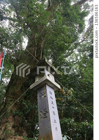 The sacred tree of Kanmuri Tenmangu Shrine The sacred tree of Kanmuri Tenmangu Shrine 136586163