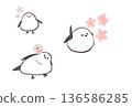 長尾山雀和水彩花卉插圖 136586285