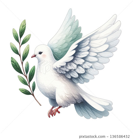 White dove flying with green olive branch in beak peaceful bird 136586432