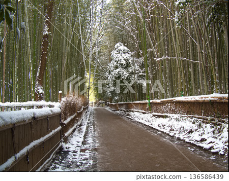 雪天裡穿過竹林的小路 136586439