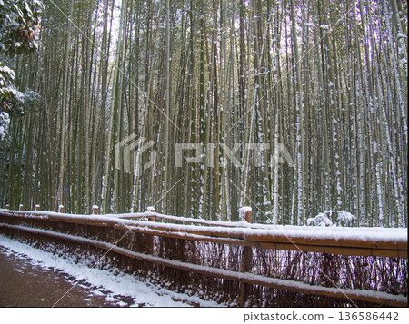 竹林步道旁的雪景 竹林步道旁的雪景 136586442