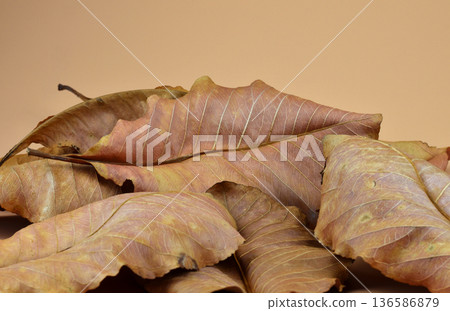 Close up of fallen dry heaps of autumn season on brown background 136586879