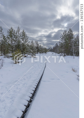 Wooden boardwalk path covering deep snow in winter forest 136587553