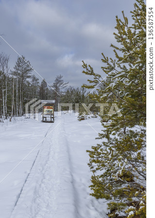 Winter boardwalk trail leading to information board in wetlands 136587554