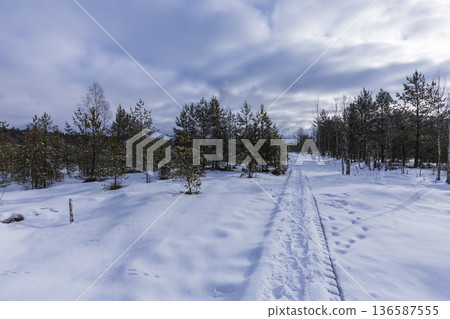 Wooden boardwalk winding through snowy peat bog landscape Wooden boardwalk winding through snowy peat bog landscape 136587555