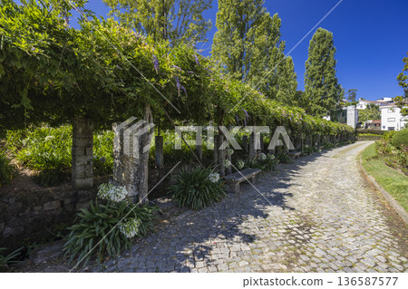 Parque do Mosteiro pergola path in Cabeceiras de Basto, Portugal Parque do Mosteiro pergola path in Cabeceiras de Basto, Portugal 136587577