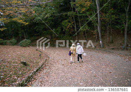 People walking through autumn scenery 136587681