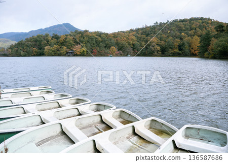秋天的風景 秋天的風景 136587686