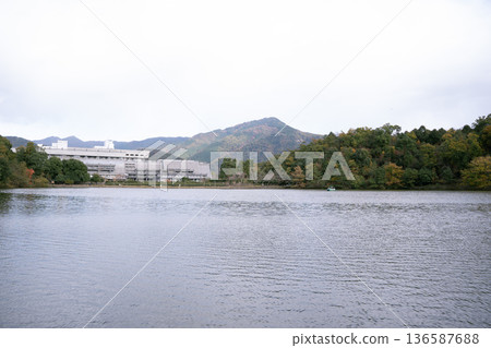 Autumn day pond scenery Autumn day pond scenery 136587688