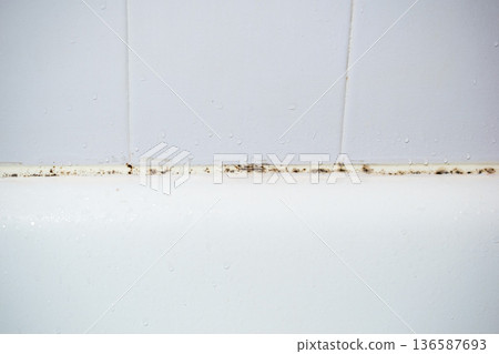 Black mold and mildew growing on bathtub caulk in a dirty bathroom Black mold and mildew growing on bathtub caulk in a dirty bathroom 136587693