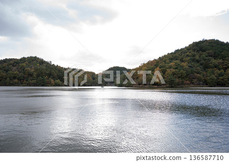 Autumn day pond scenery 136587710
