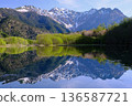 Taisho pond 136587721