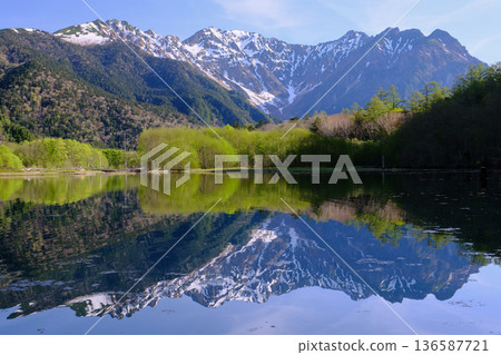 Taisho pond 136587721