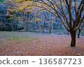 Late autumn 136587723