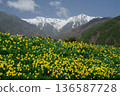 Kiso Komagatake 136587728