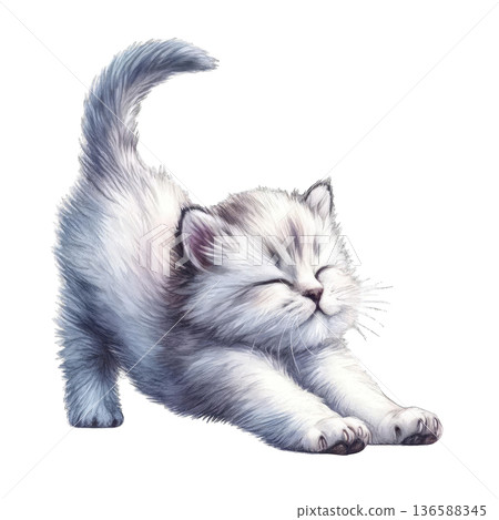 Cute white kitten stretching happily with closed eyes Cute white kitten stretching happily with closed eyes 136588345