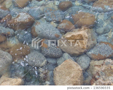 Transparent, crystal-clear waters of the Mediterranean Sea revealing smooth stones on the seabed along the coast of Calabria, southern Italy. Sunlight reflects through the shallow water, highlighting Transparent, crystal-clear waters of the Mediterranean Sea revealing smooth stones on the seabed along the coast of Calabria, southern Italy. Sunlight reflects through the shallow water, highlighting 136590335