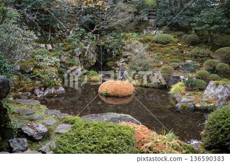 秋天日本庭院 136590383