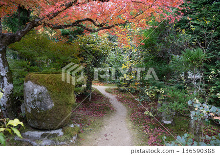 秋天日本庭院 秋天日本庭院 136590388