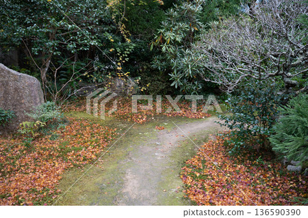 Autumn Japanese Garden Autumn Japanese Garden 136590390