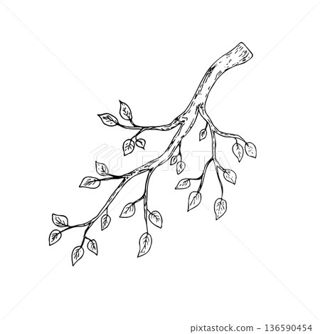 Vector Spring branch with leaves. Graphic easter hand drawn illustration isolated on background. Botanical and wedding, baby clip art. For greeting card, wallpaper, wrapping paper design, textile Vector Spring branch with leaves. Graphic easter hand drawn illustration isolated on background. Botanical and wedding, baby clip art. For greeting card, wallpaper, wrapping paper design, textile 136590454