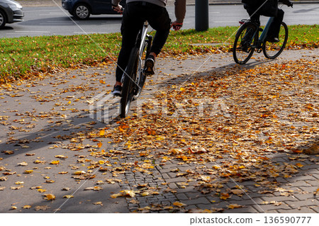 Fallen Autumn Leaves on Pavement 136590777