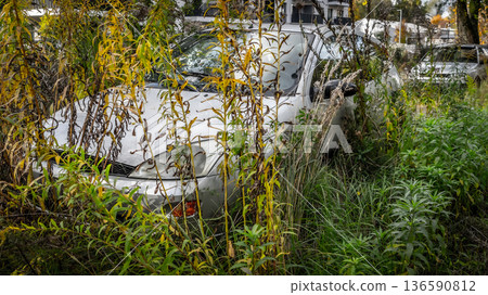 Abandoned Car Overgrown with Grass 136590812